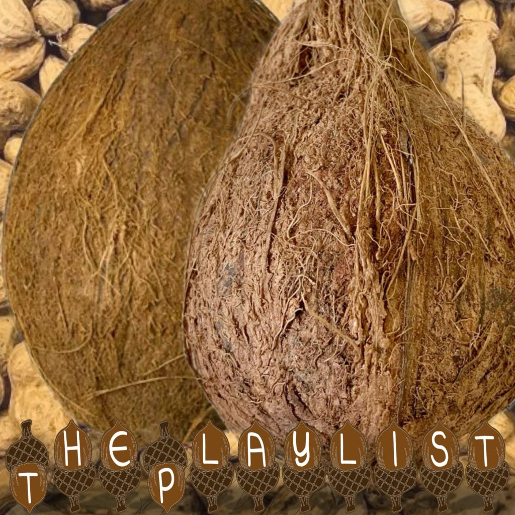 Artwork for this week's show.

It's a picture of two coconuts, laid over a photo of a bunch of monkey nuts in their shells. 

At the bottom it says "THE PLAYLIST" in letters written on drawn acorns.