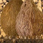 Artwork for this week's show. It's a picture of two coconuts, laid over a photo of a bunch of monkey nuts in their shells. At the bottom it says "THE PLAYLIST" in letters written on drawn acorns.