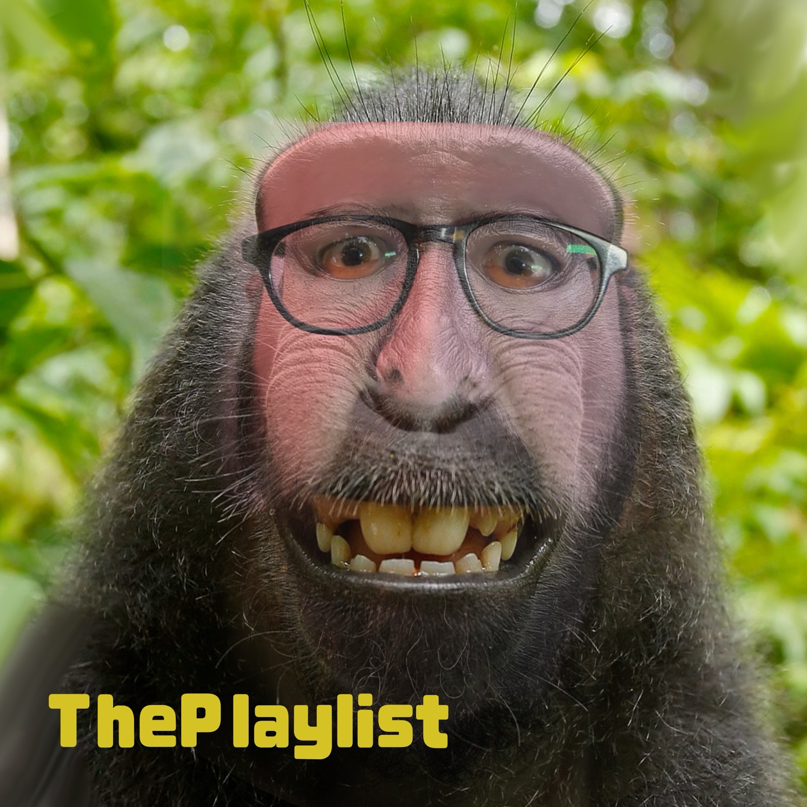 #ThePlaylist – 103 – Monkey Man